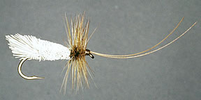 Goddard Caddis (courtesy FFF)